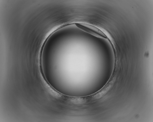 X0000094430957200711151339