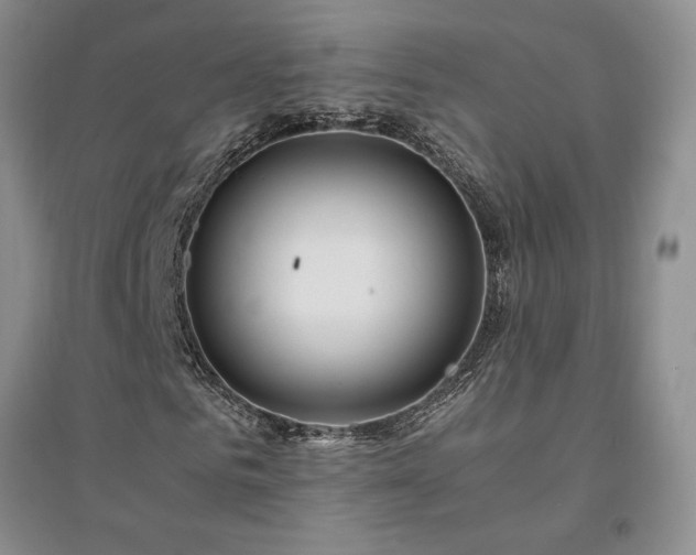 X0000094430961200711151338