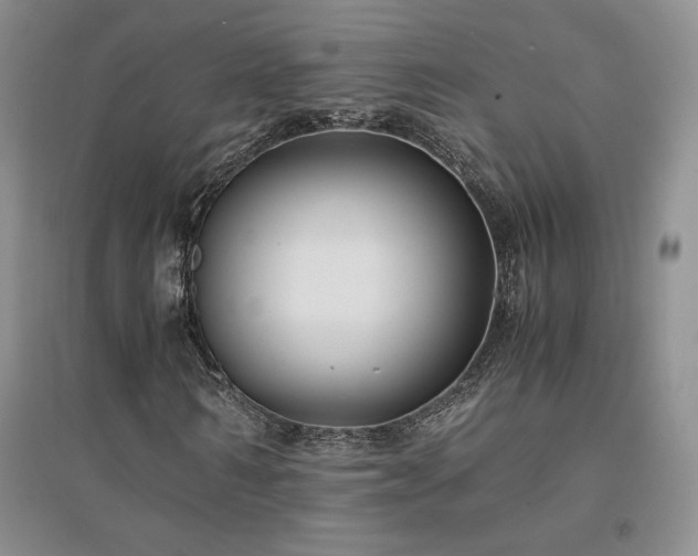X0000094430962200711151338