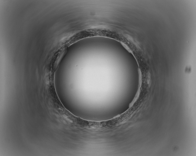 X0000094430965200711151338