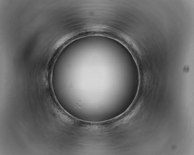 X0000094430970200711151338
