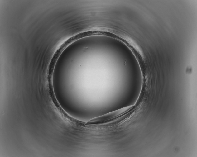 X0000094430972200711151338