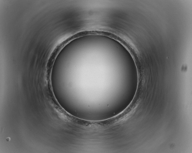 X0000094430974200711151338