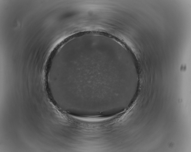 X0000094430975200711151338