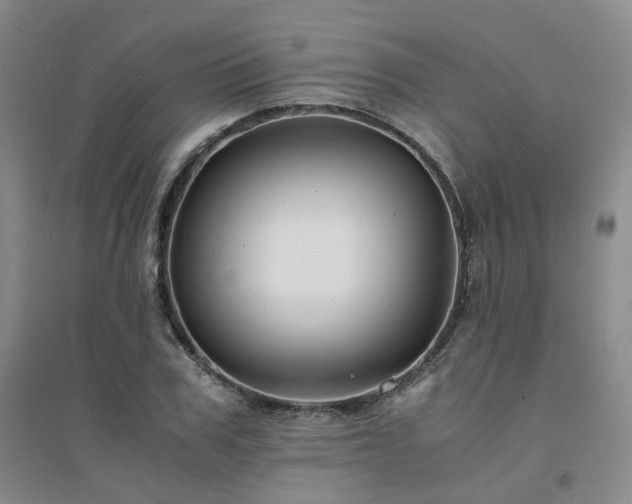 X0000094430979200711151338