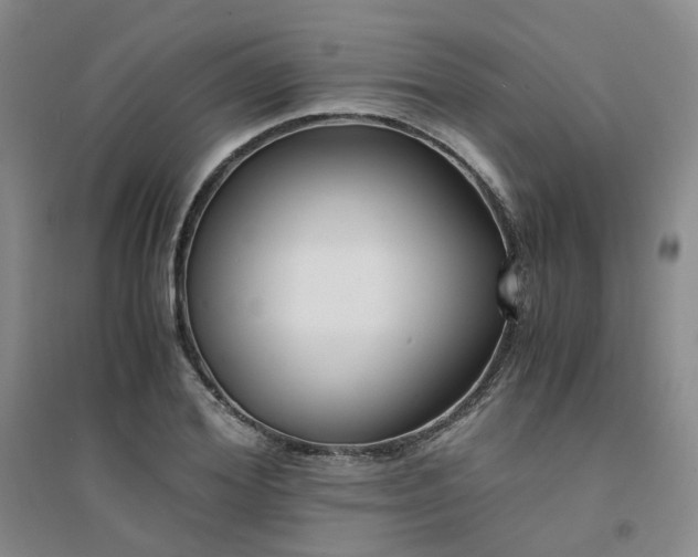 X0000094430980200711151338