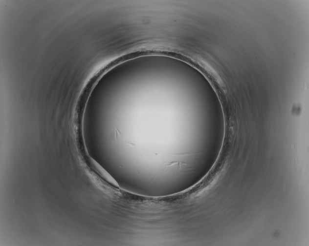 X0000094430981200711151338