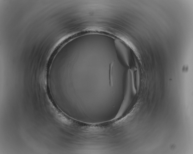 X0000094430984200711151338