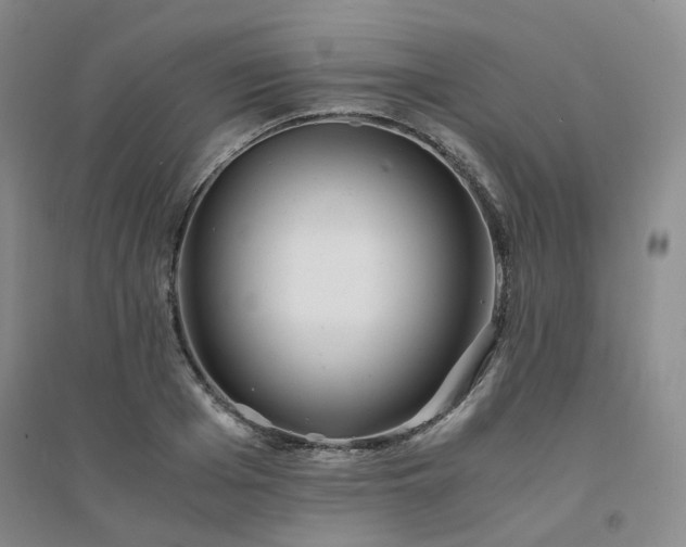X0000094430985200711151338