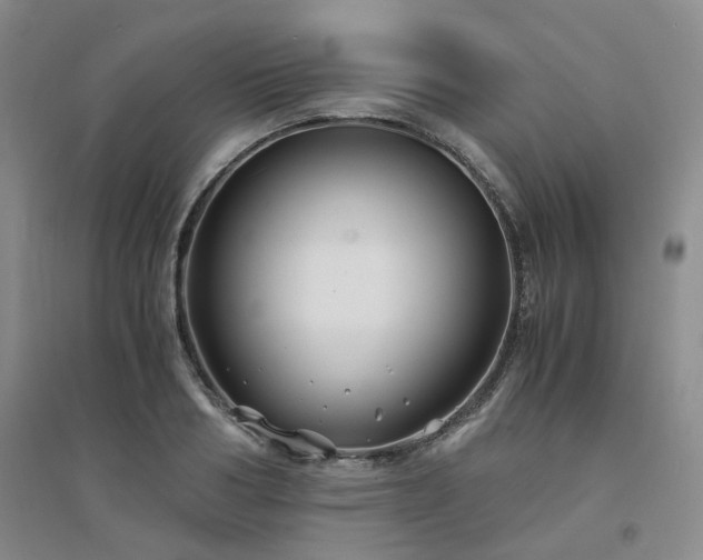 X0000094430986200711151338