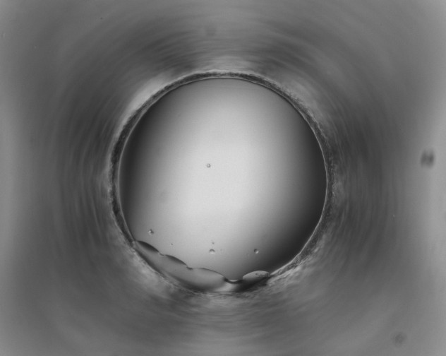 X0000094430990200711151338