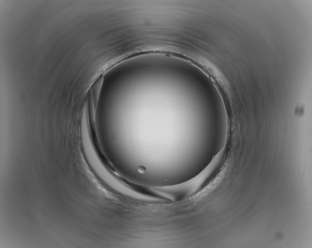 X0000094430993200711151338