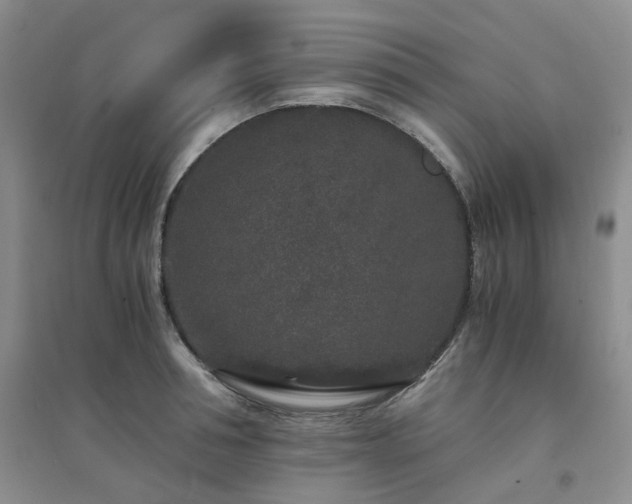 X0000094430994200711151338