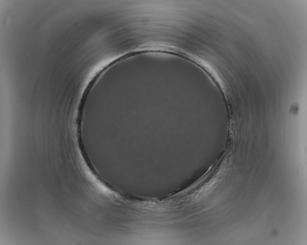 X0000094430995200711151338