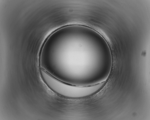 X0000094430996200711151338