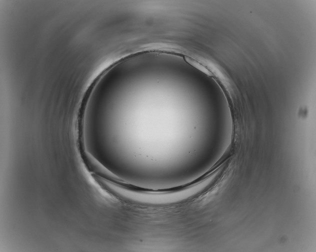 X0000094430999200711151338