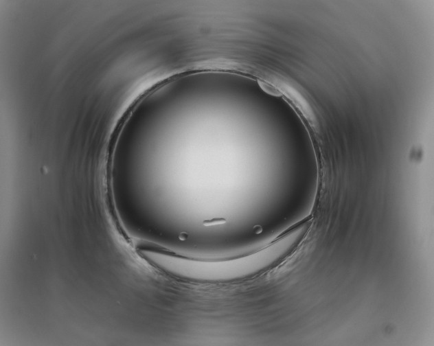 X0000094431000200711151338