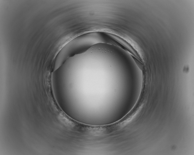 X0000094431001200711151338