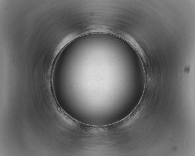 X0000094431002200711151338