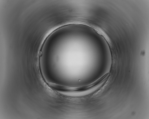 X0000094431004200711151338
