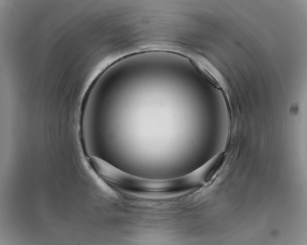 X0000094431005200711151338