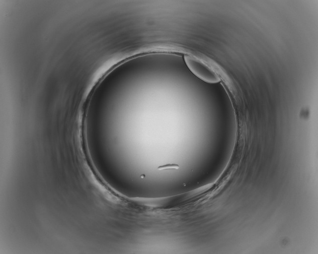 X0000094431006200711151338