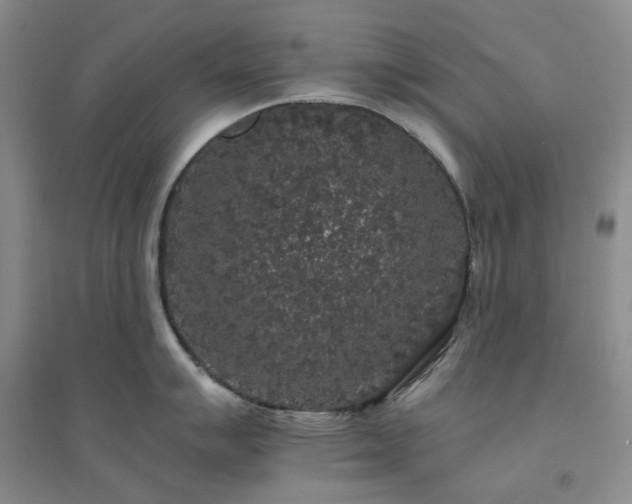 X0000094431007200711151338