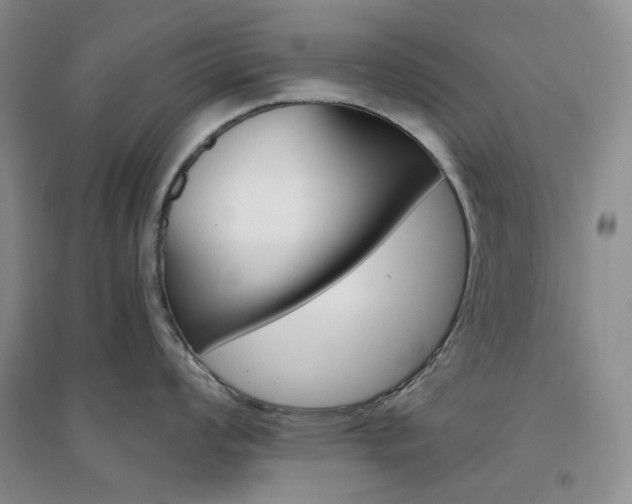 X0000094431008200711151338