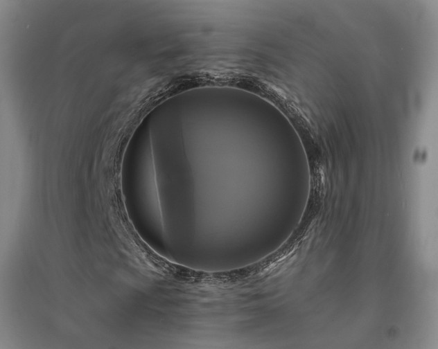 X0000094431009200711151337