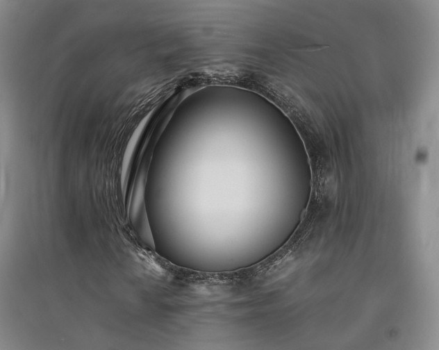 X0000094431010200711151337