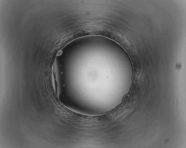 X0000094431012200711151337