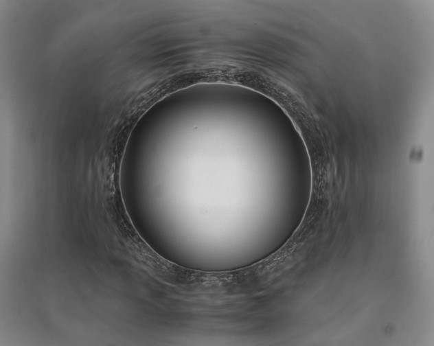 X0000094431013200711151337