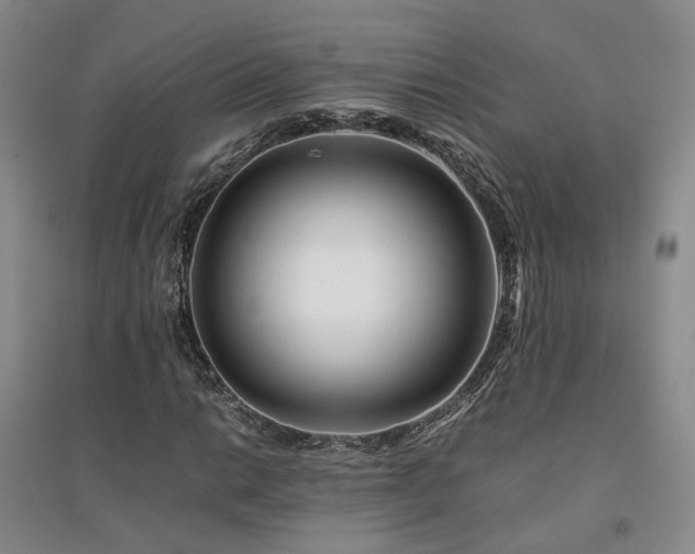 X0000094431014200711151337
