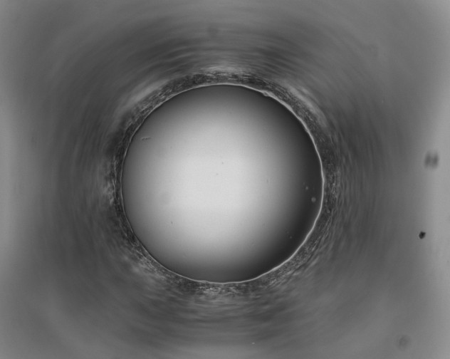X0000094431015200711151337