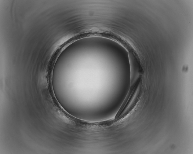 X0000094431018200711151337