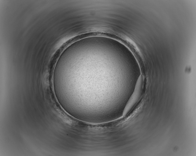 X0000094431019200711151337