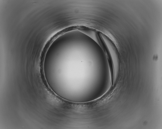 X0000094431020200711151337
