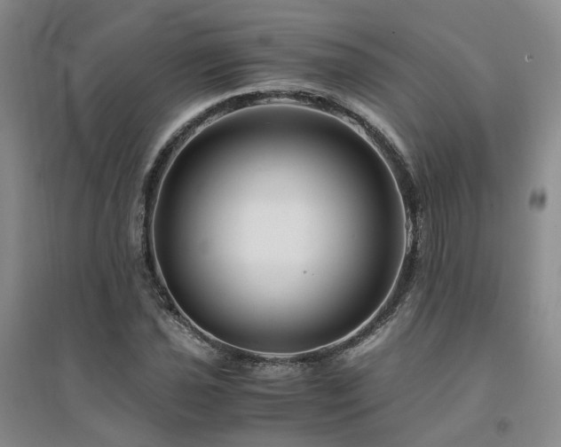 X0000094431021200711151337