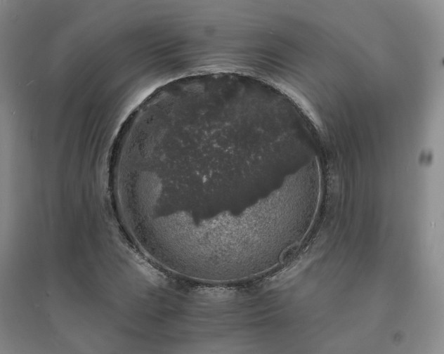 X0000094431023200711151337