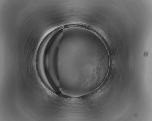 X0000094431024200711151337