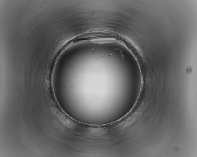 X0000094431025200711151337
