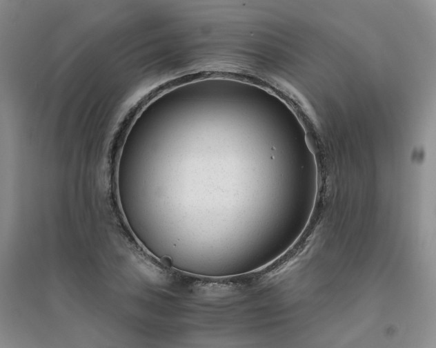 X0000094431027200711151337