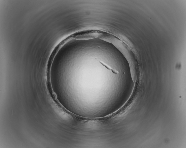 X0000094431028200711151337
