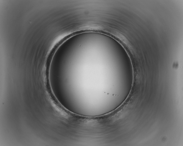 X0000094431030200711151337