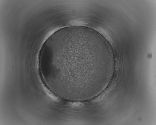X0000094431031200711151337