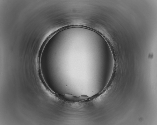 X0000094431032200711151337