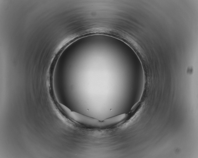 X0000094431034200711151337