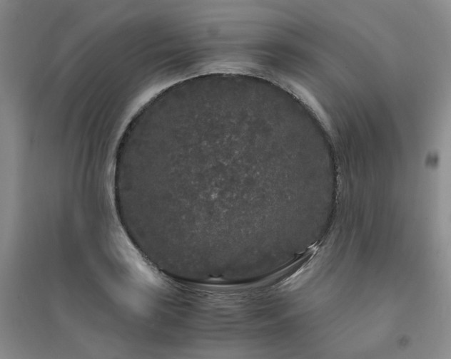 X0000094431035200711151338