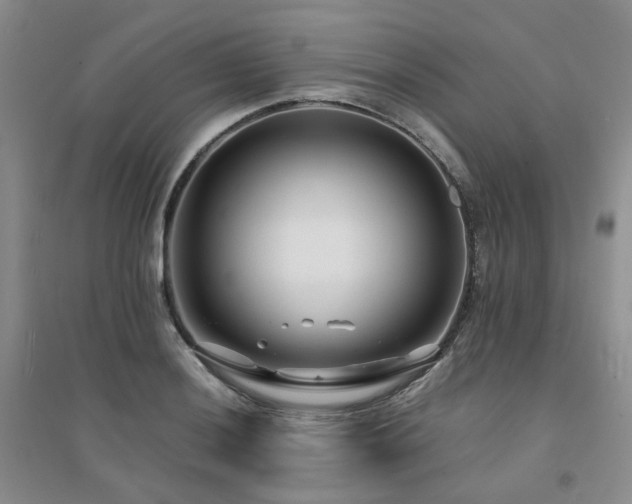 X0000094431036200711151338
