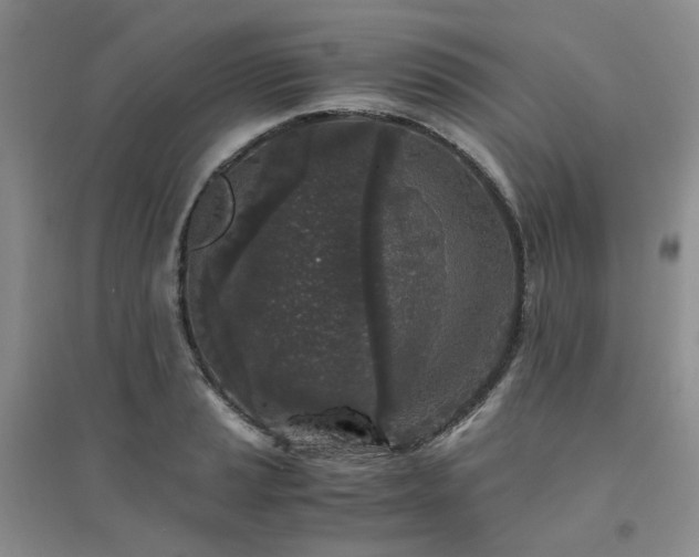 X0000094431037200711151338